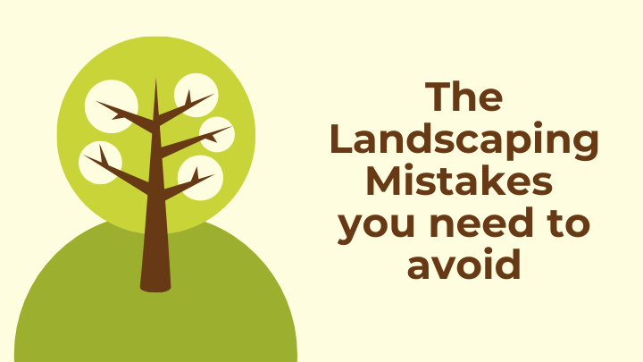 TOP 10 LANDSCAPING MISTAKES TO AVOID