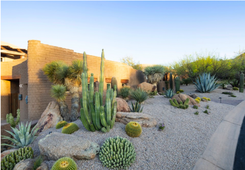 Desert Foothills Landscaping | Your Landscaping the Way It Should Be