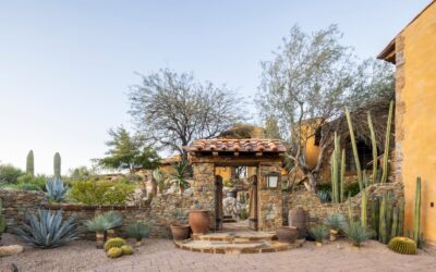 Plants For Your Arizona Landscape Design