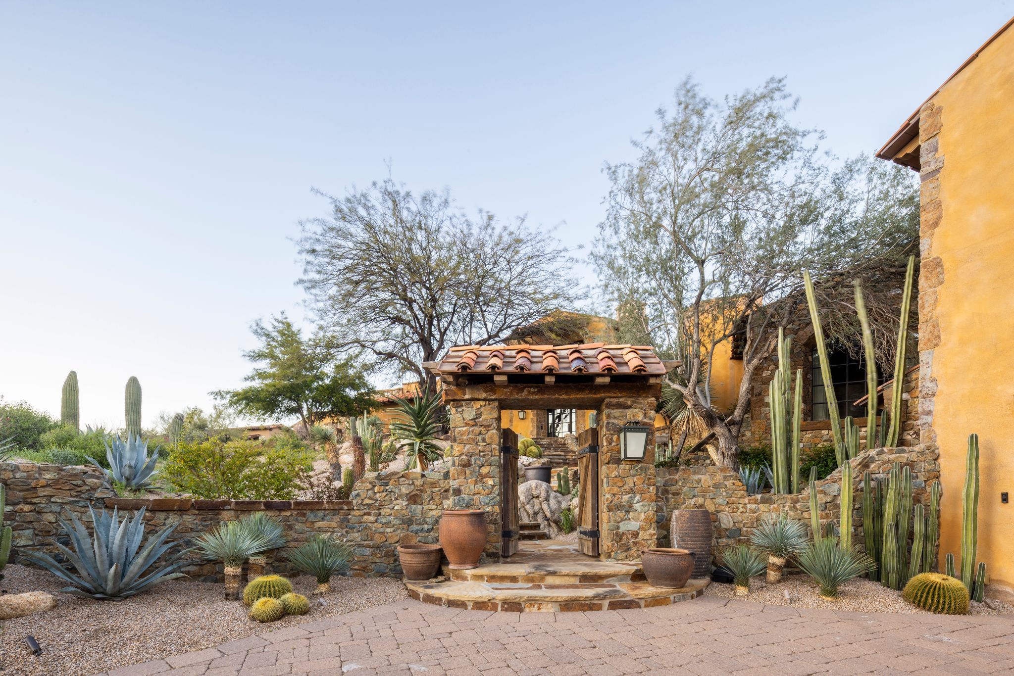 Plants For Your Arizona Landscape Design