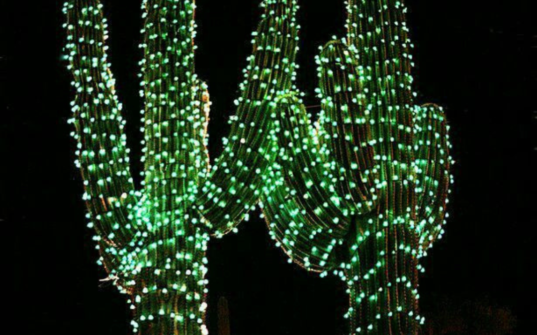 Tips for Your Outdoor Holiday Decorations