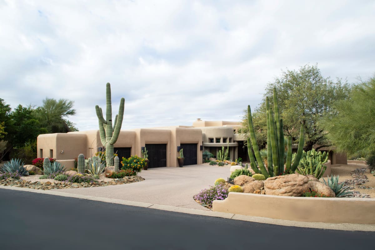 A large driveway with cactus and bushes in the front.