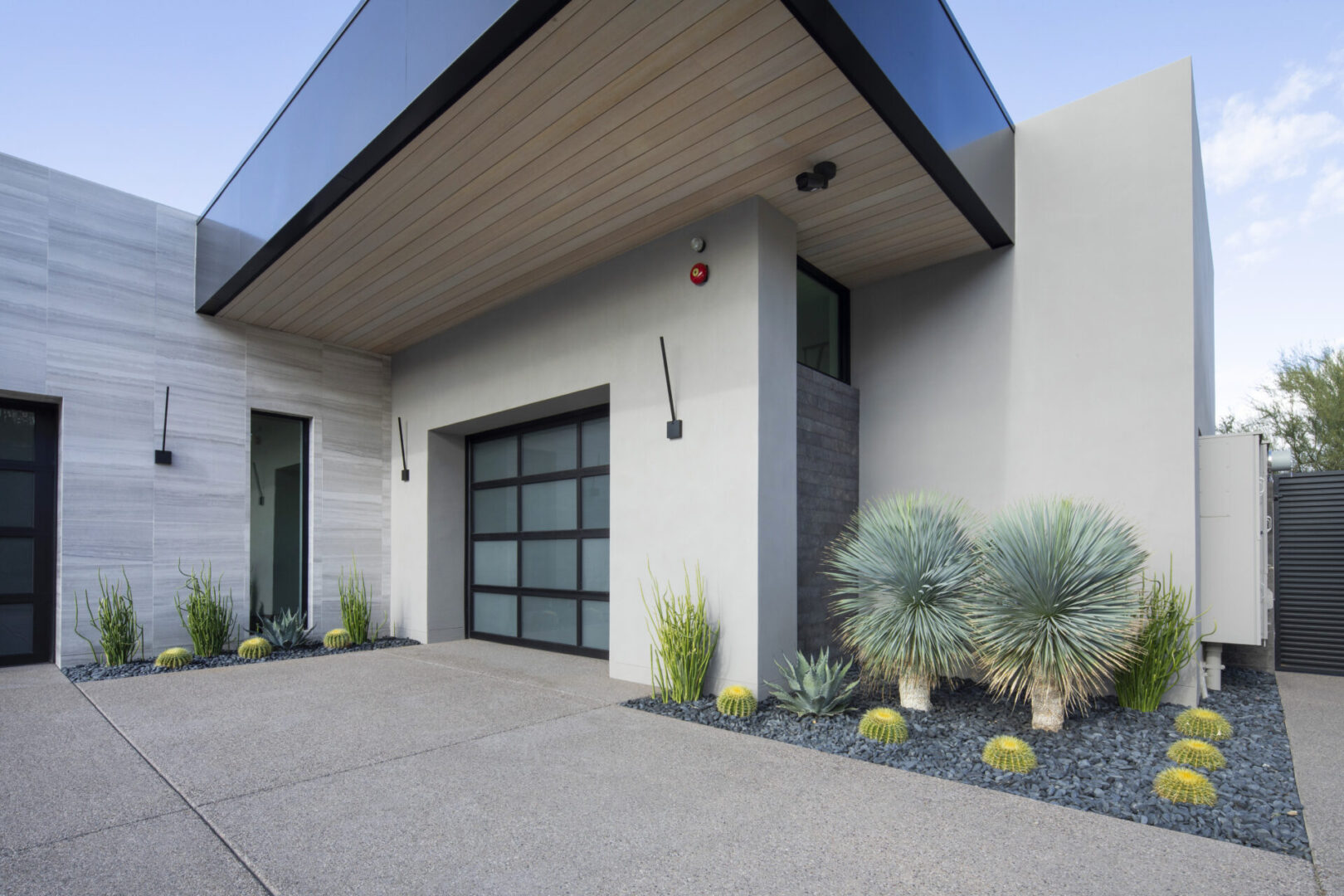 A garage door is open and the outside of it has plants.