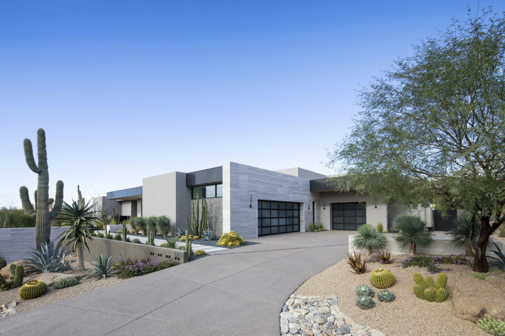 A large driveway with a house and cactus