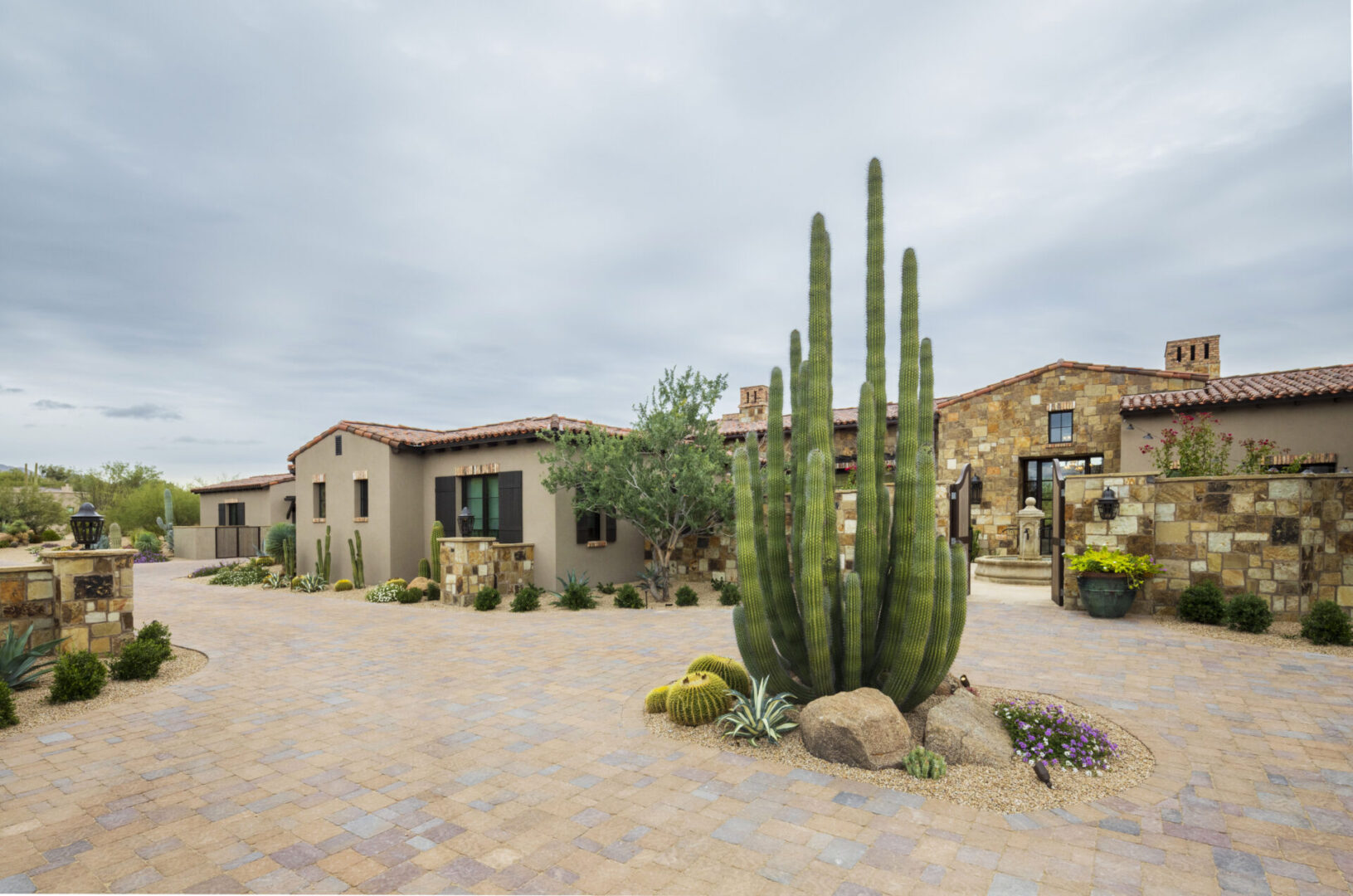 A cactus is growing in the middle of a driveway.