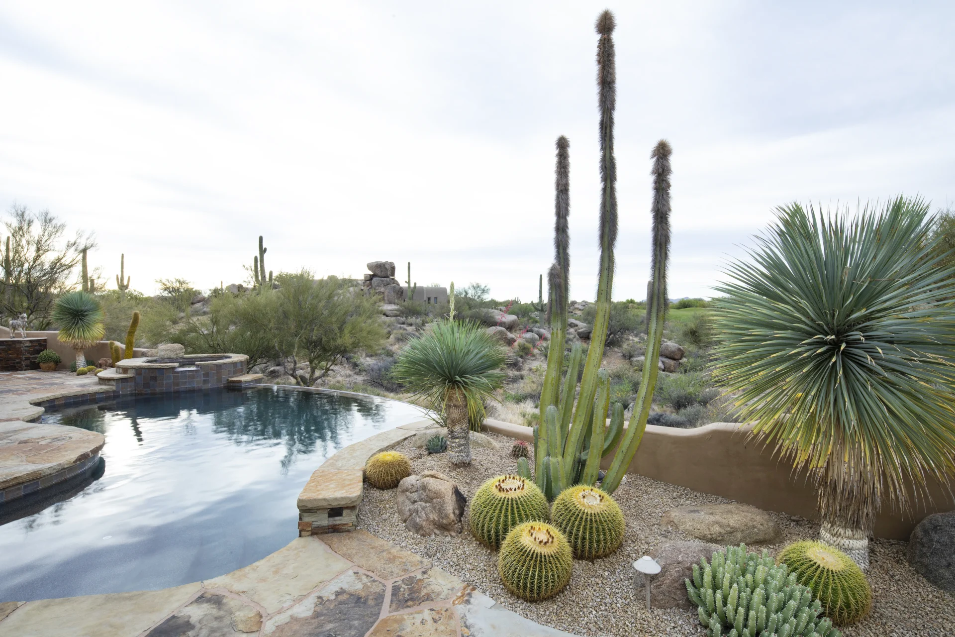 A pool with cactus and other plants next to it.