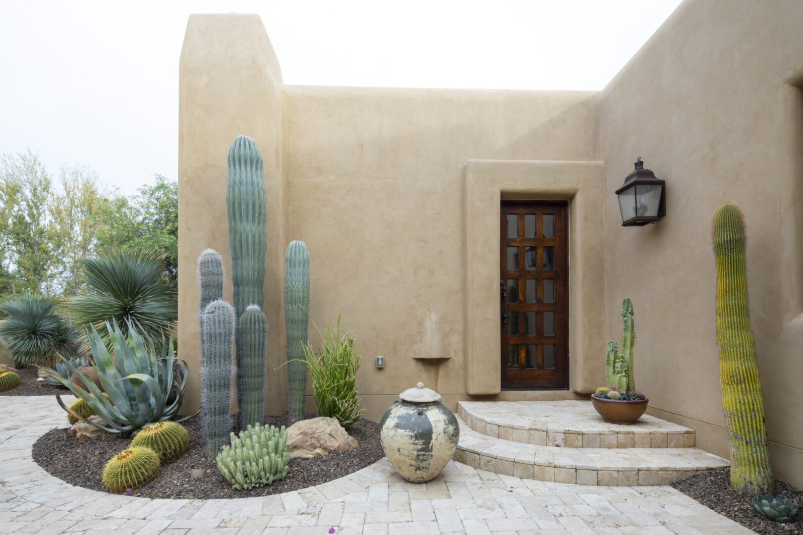 A front yard with a cactus garden and steps leading to the entrance.