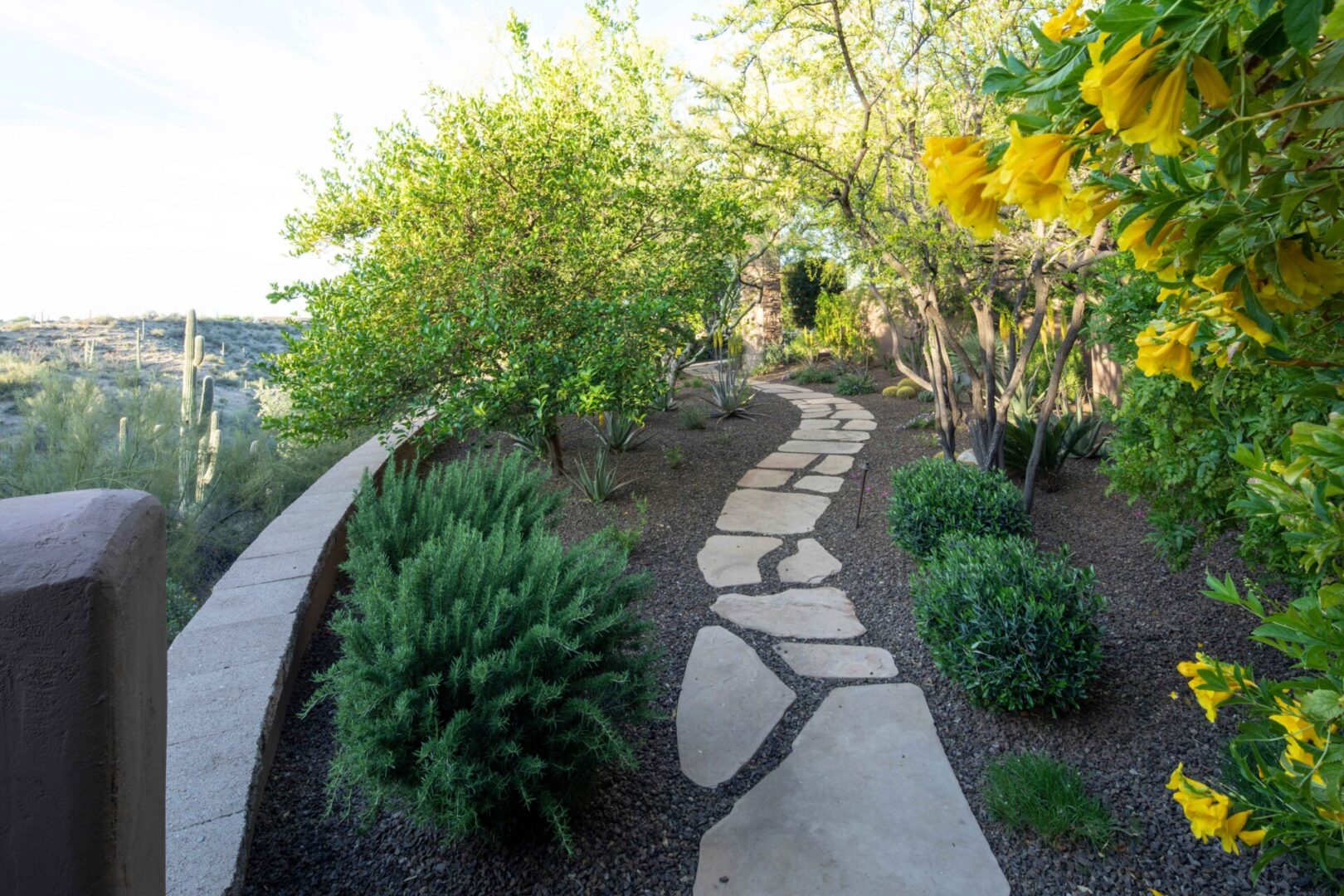 A garden with many plants and trees