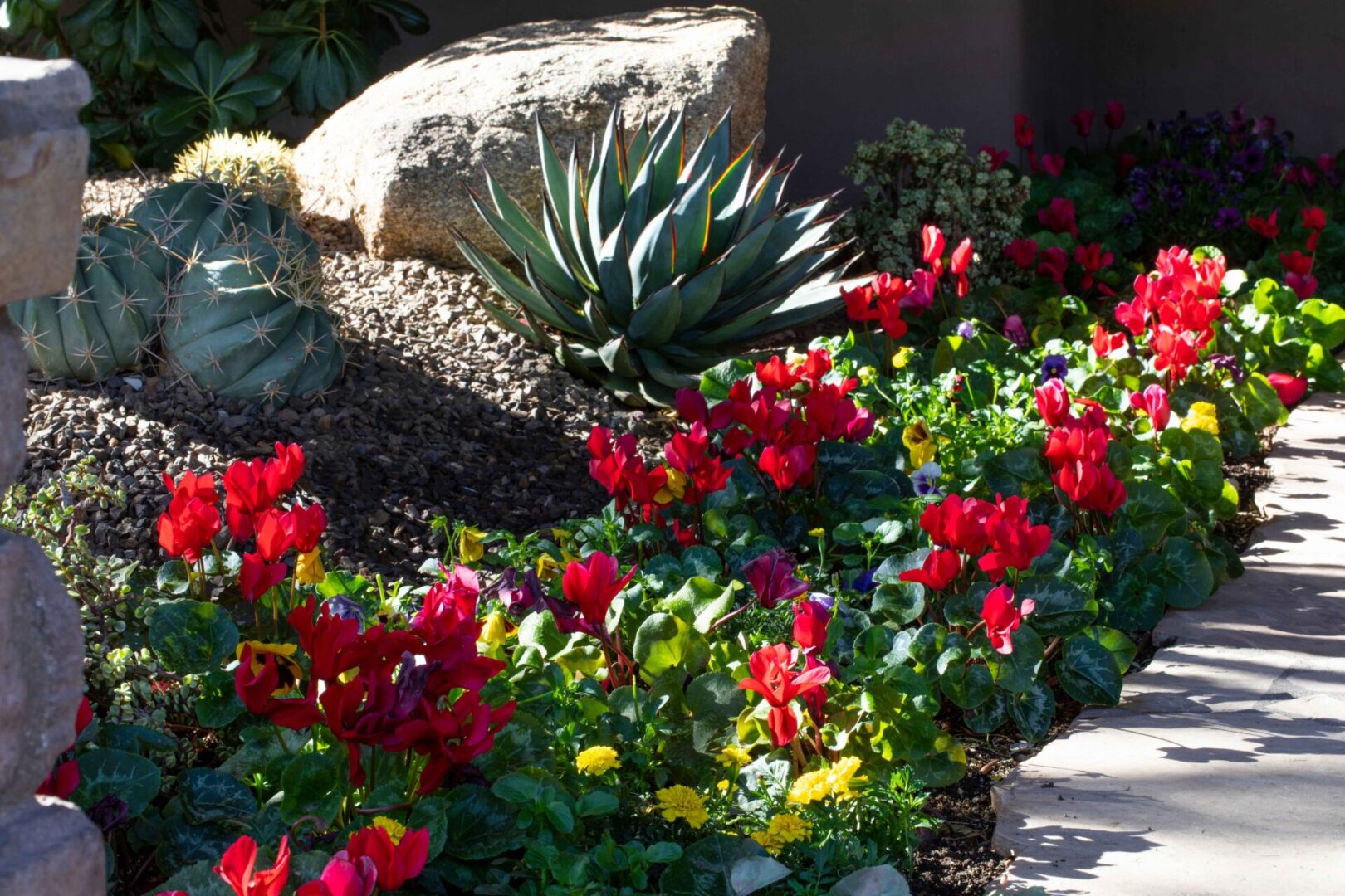 A garden with red flowers and green plants.