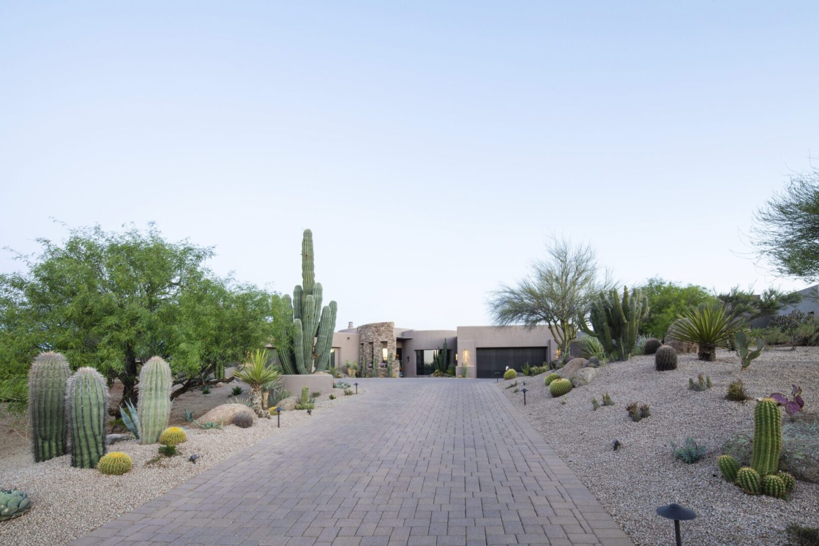 A street with a house and cactus in the background.