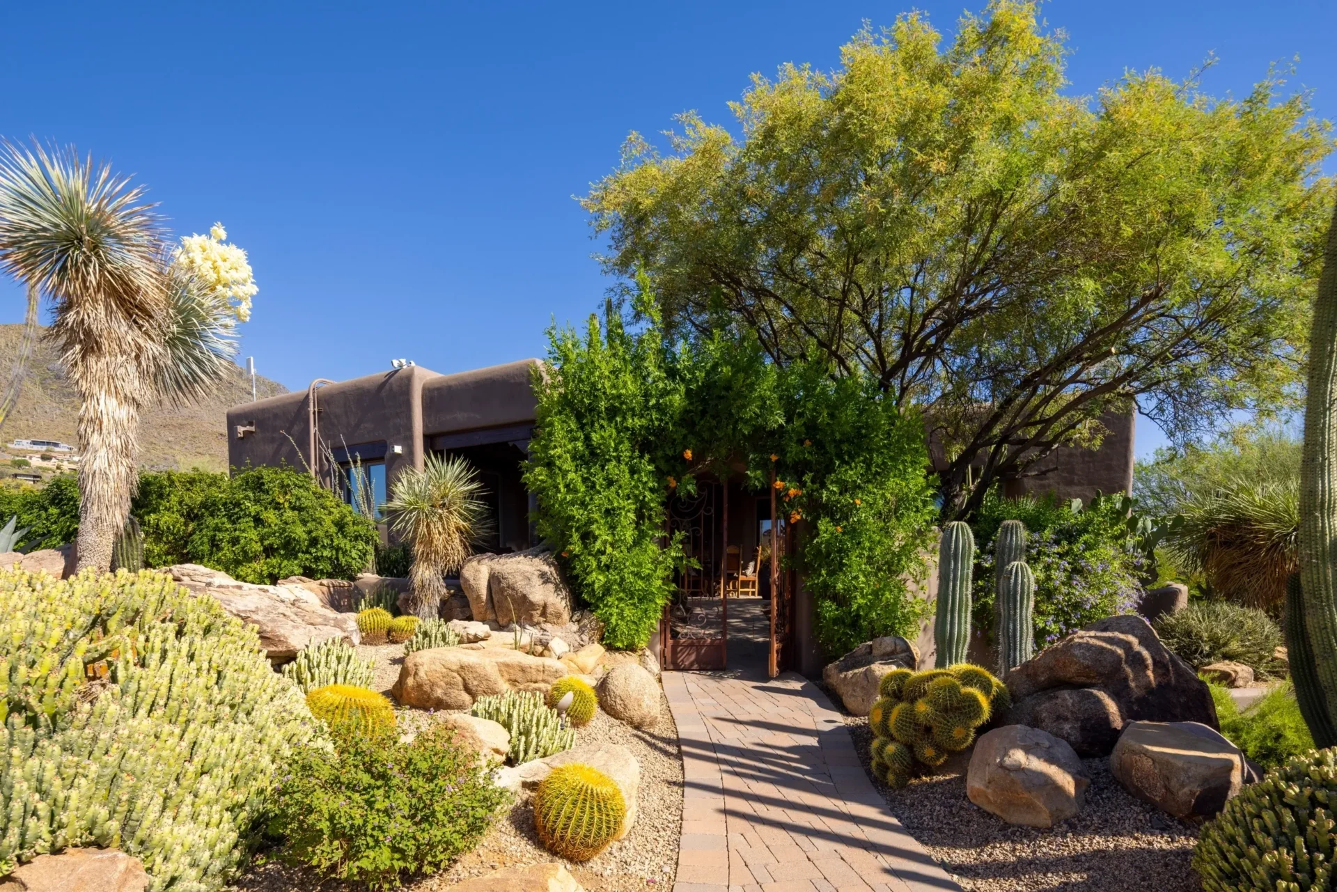 A garden with many different plants and trees.