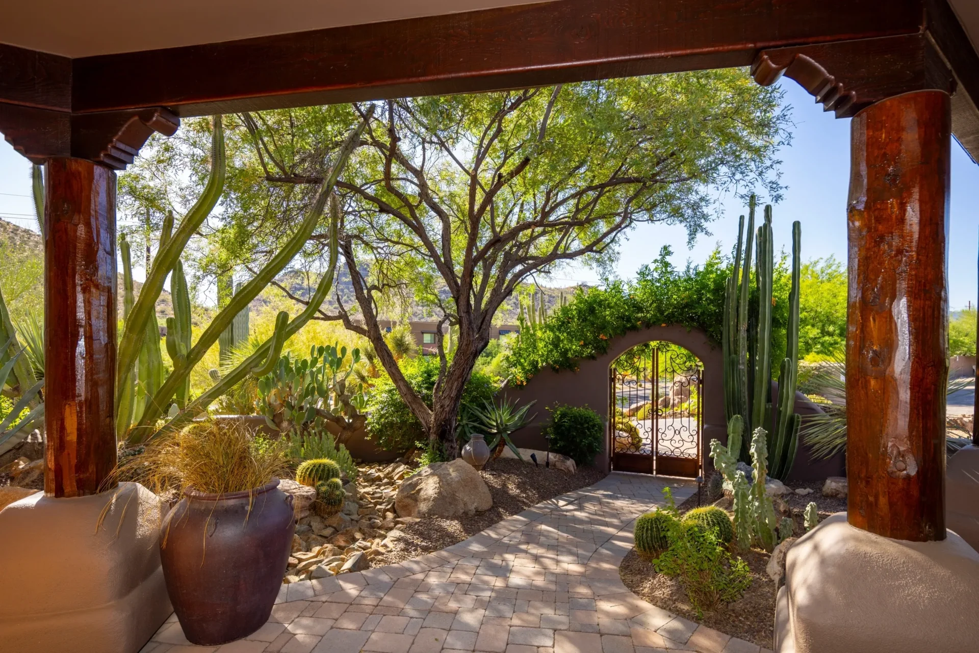 A patio with potted plants and trees in the background.