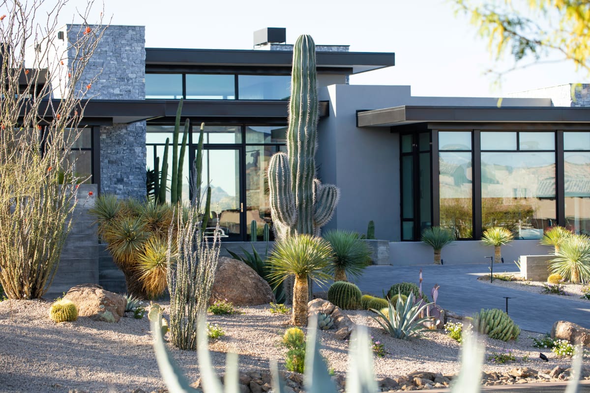 A cactus and other plants in front of a house.