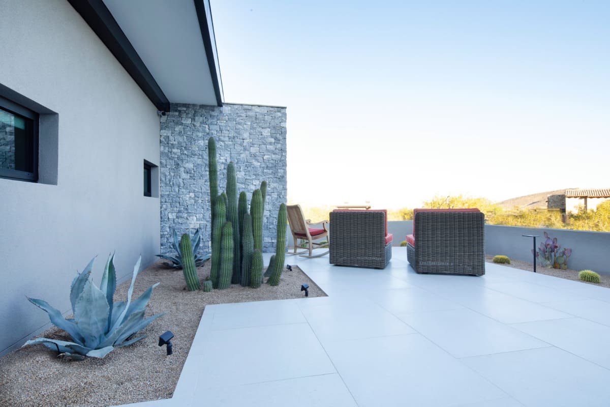 A patio with two chairs and a cactus.