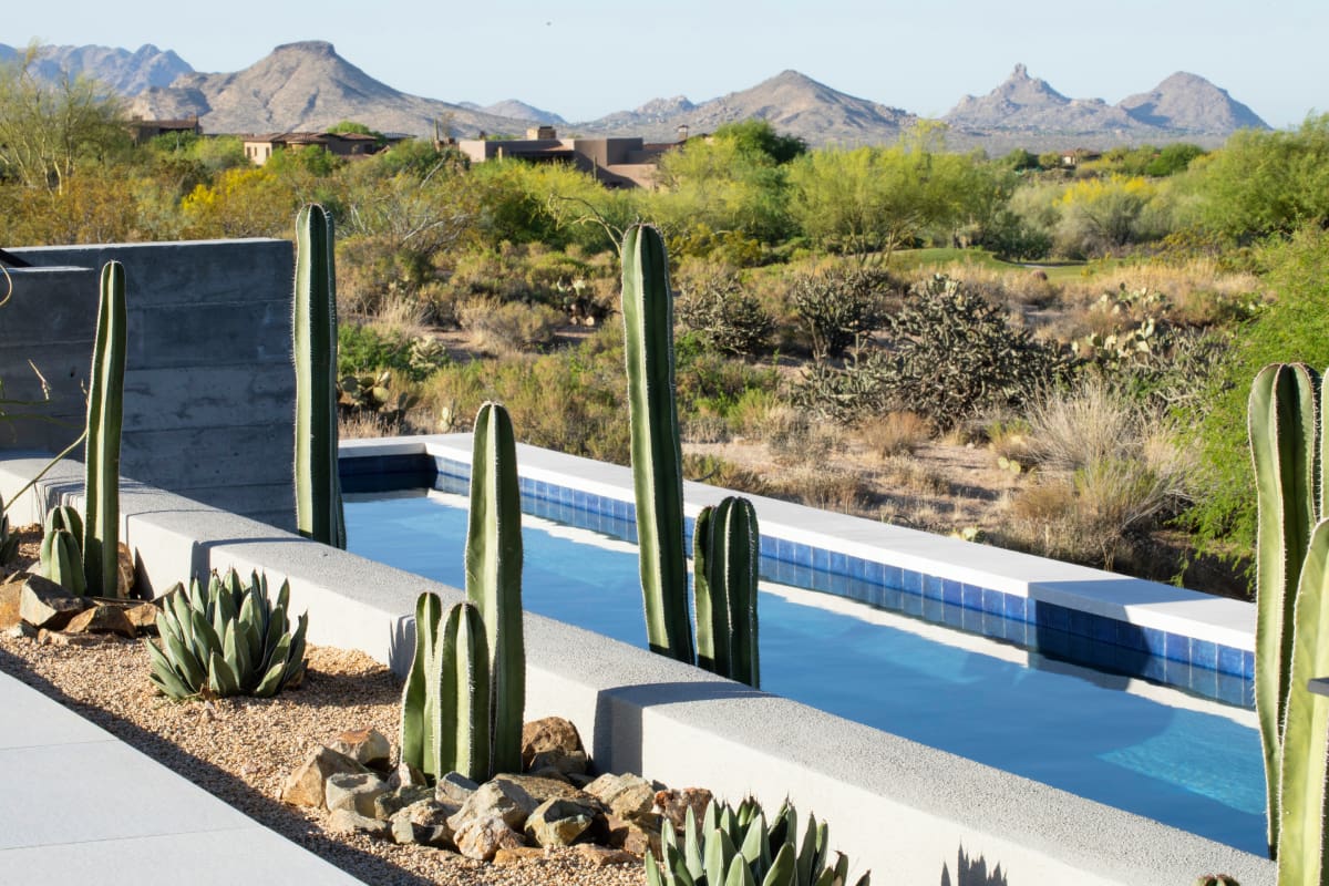 A pool with cacti and mountains in the background.