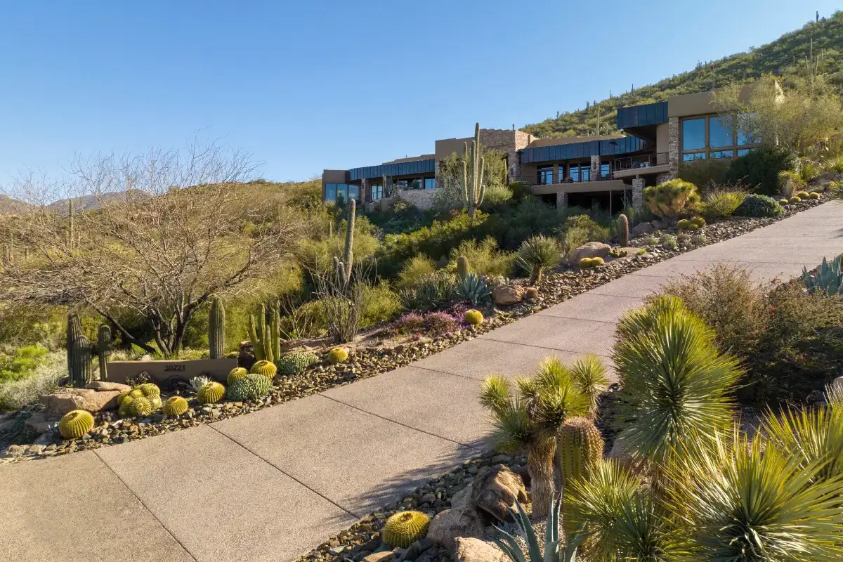 A walkway with cacti and bushes in the background.