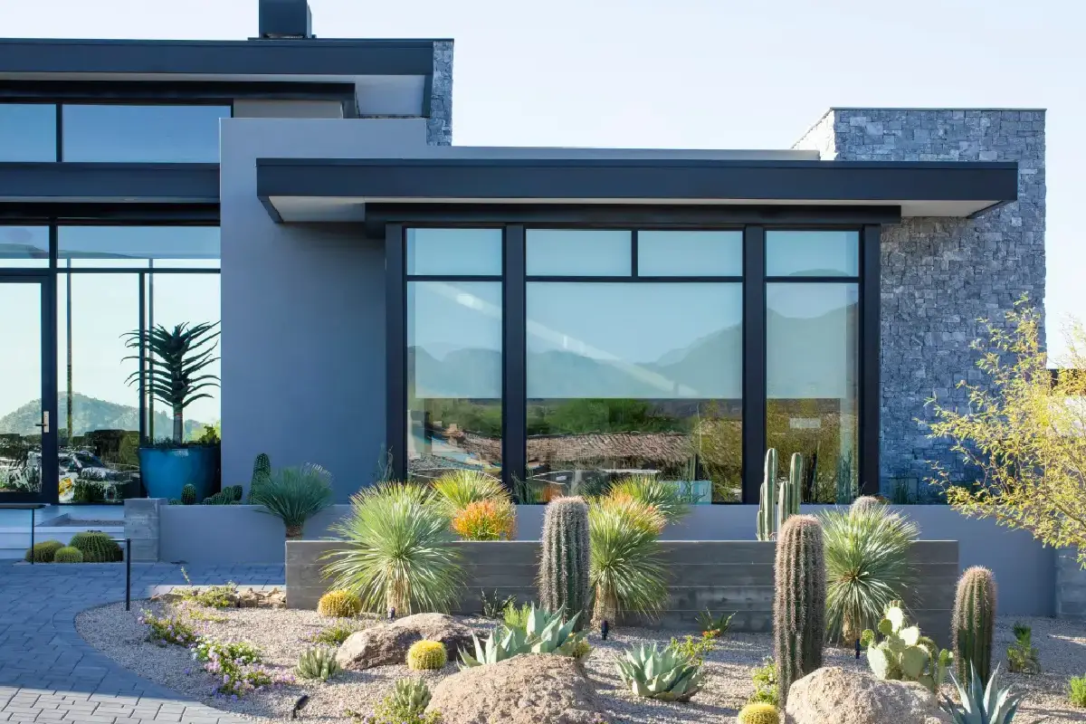 A house with many cacti in front of it