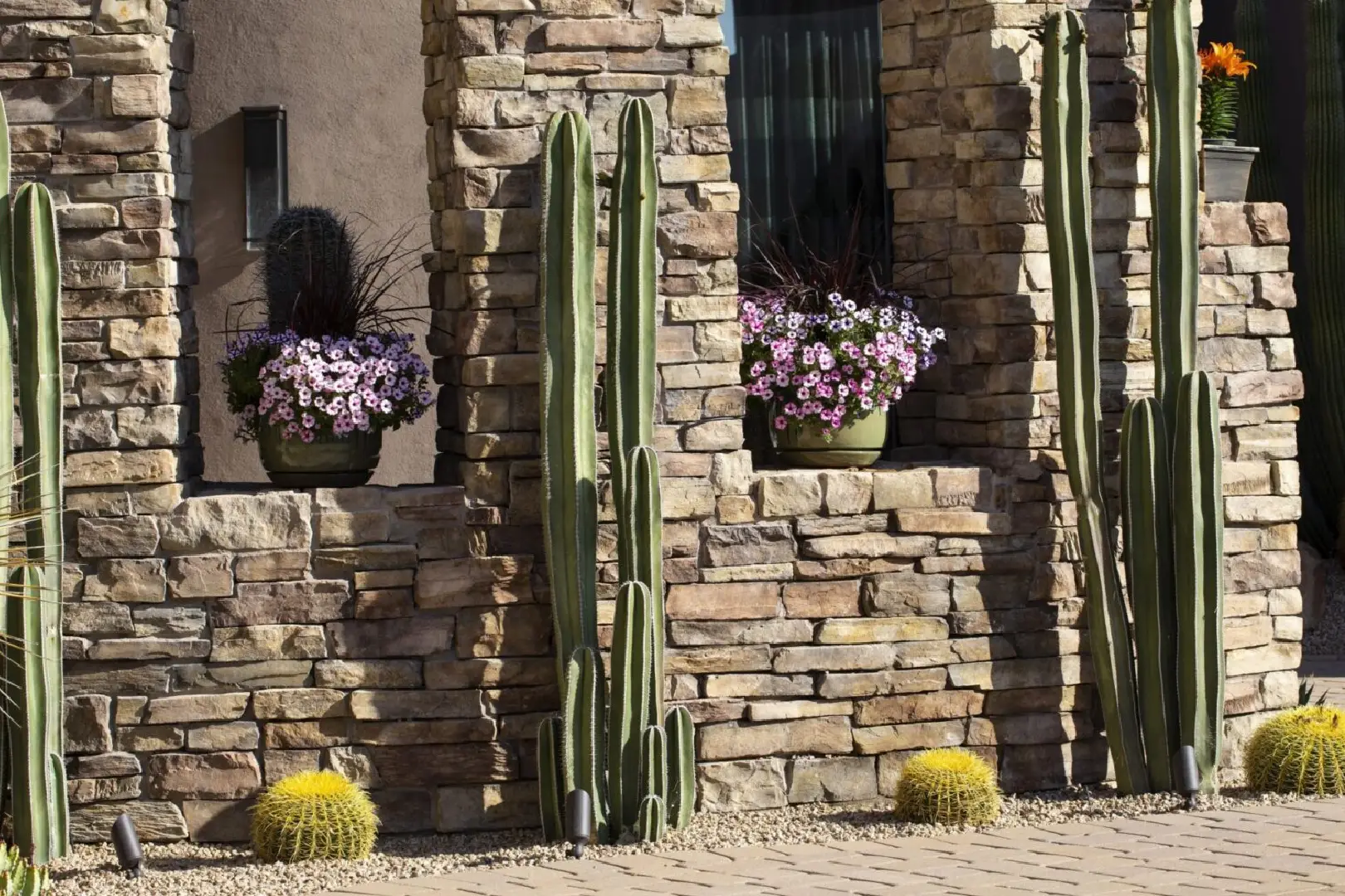 A stone wall with cactus and flowers in front of it.