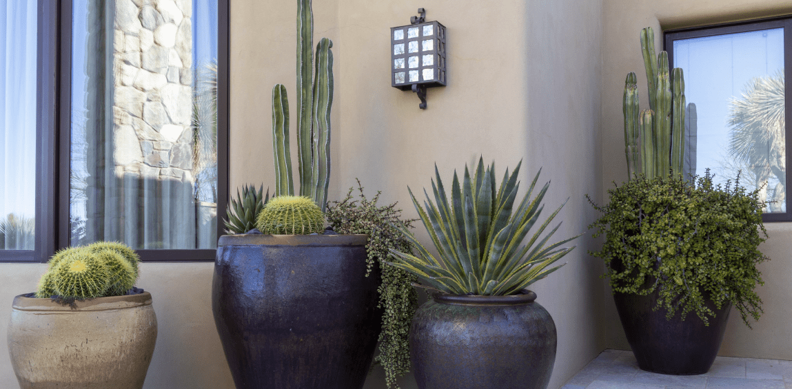 Two large pots with plants in them on a wall.