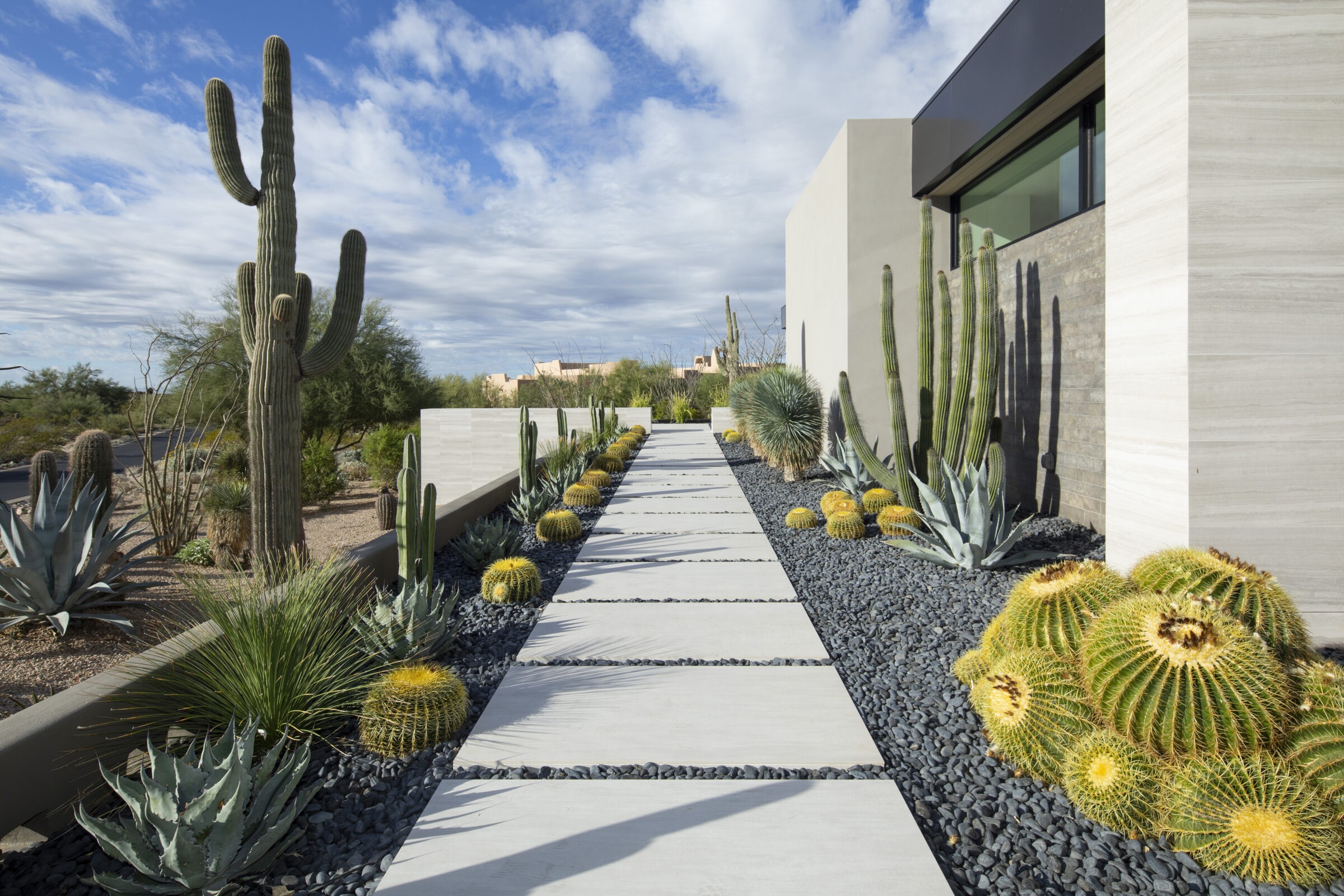 Modern house with a minimalist desert garden featuring various cacti, agave, and a concrete pathway under a blue sky with clouds.