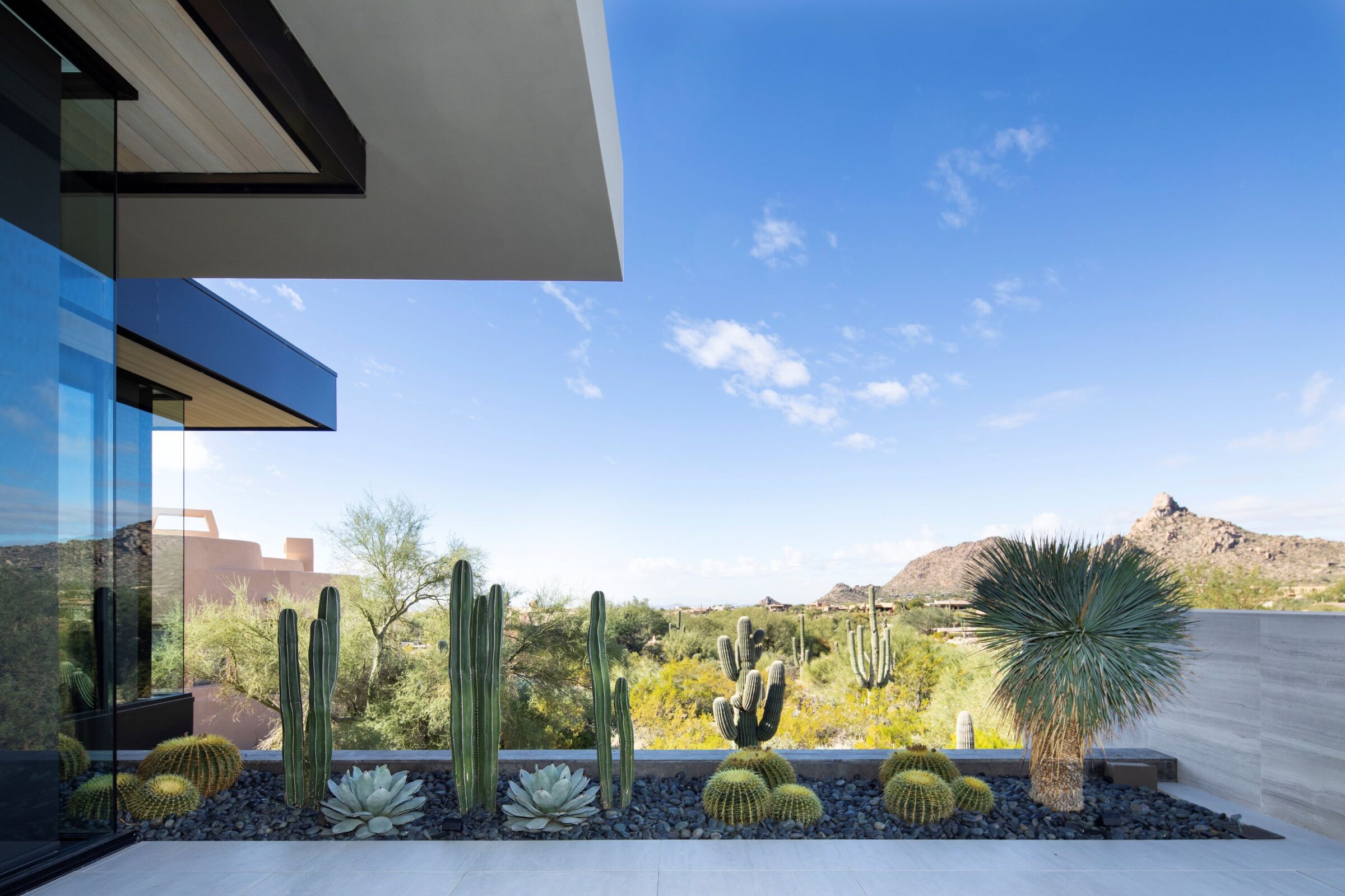 Modern house with large windows, desert landscape, and various cacti in foreground under a clear blue sky with mountain backdrop.