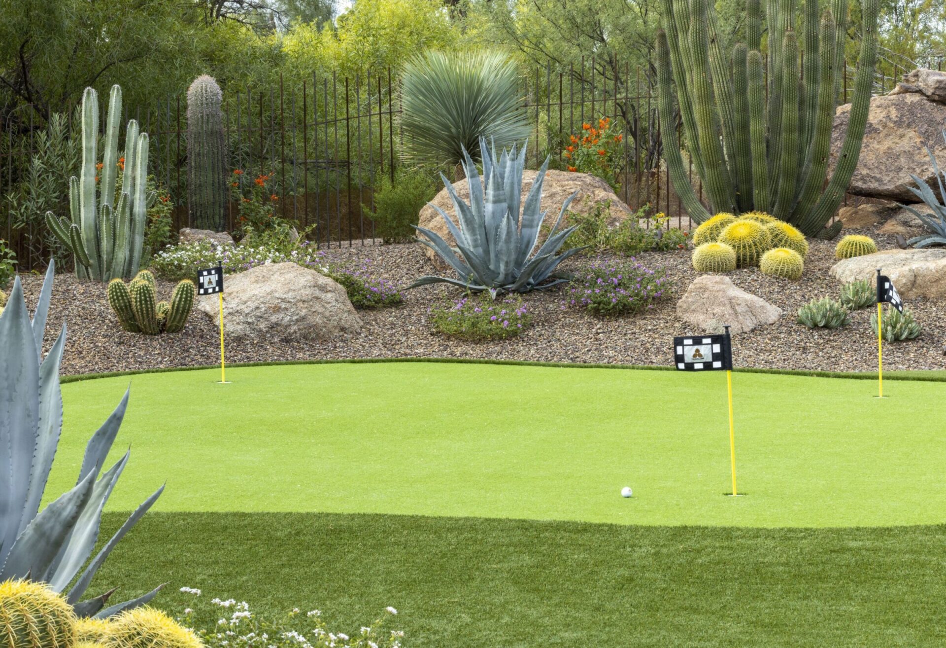 Desert-themed backyard with cacti, rocks, and a mini golf putting green featuring checkered flags. Bright and well-maintained landscape design.