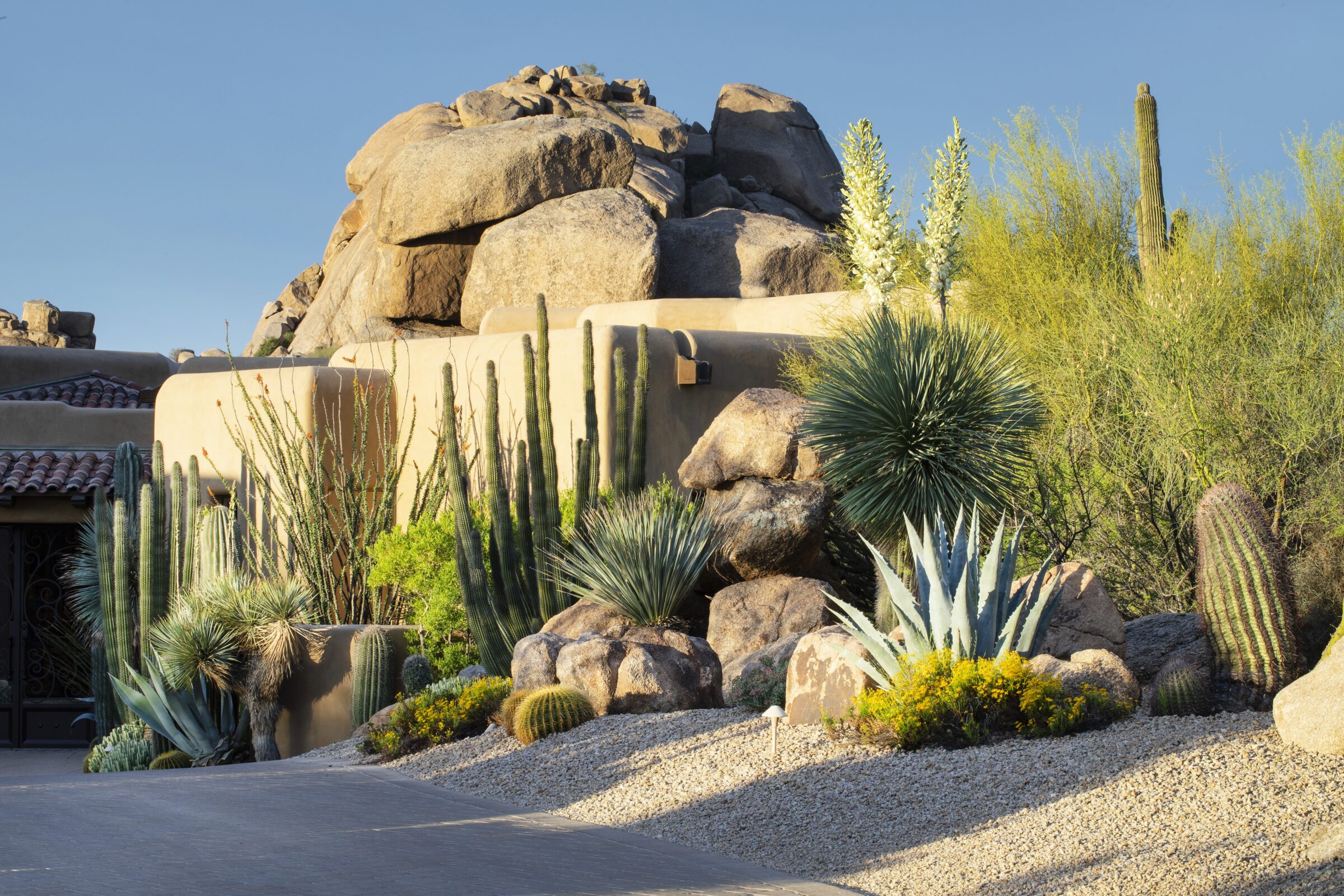 Desert landscape with various cacti and succulents, surrounded by rocky terrain and a building with adobe-style architecture under a clear blue sky.