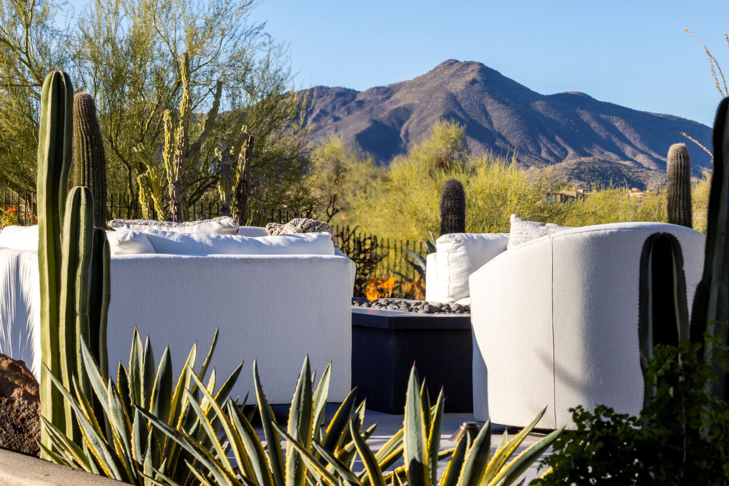 Desert landscape with modern white outdoor seating, surrounded by cacti and plants, against a backdrop of mountains under a clear blue sky.