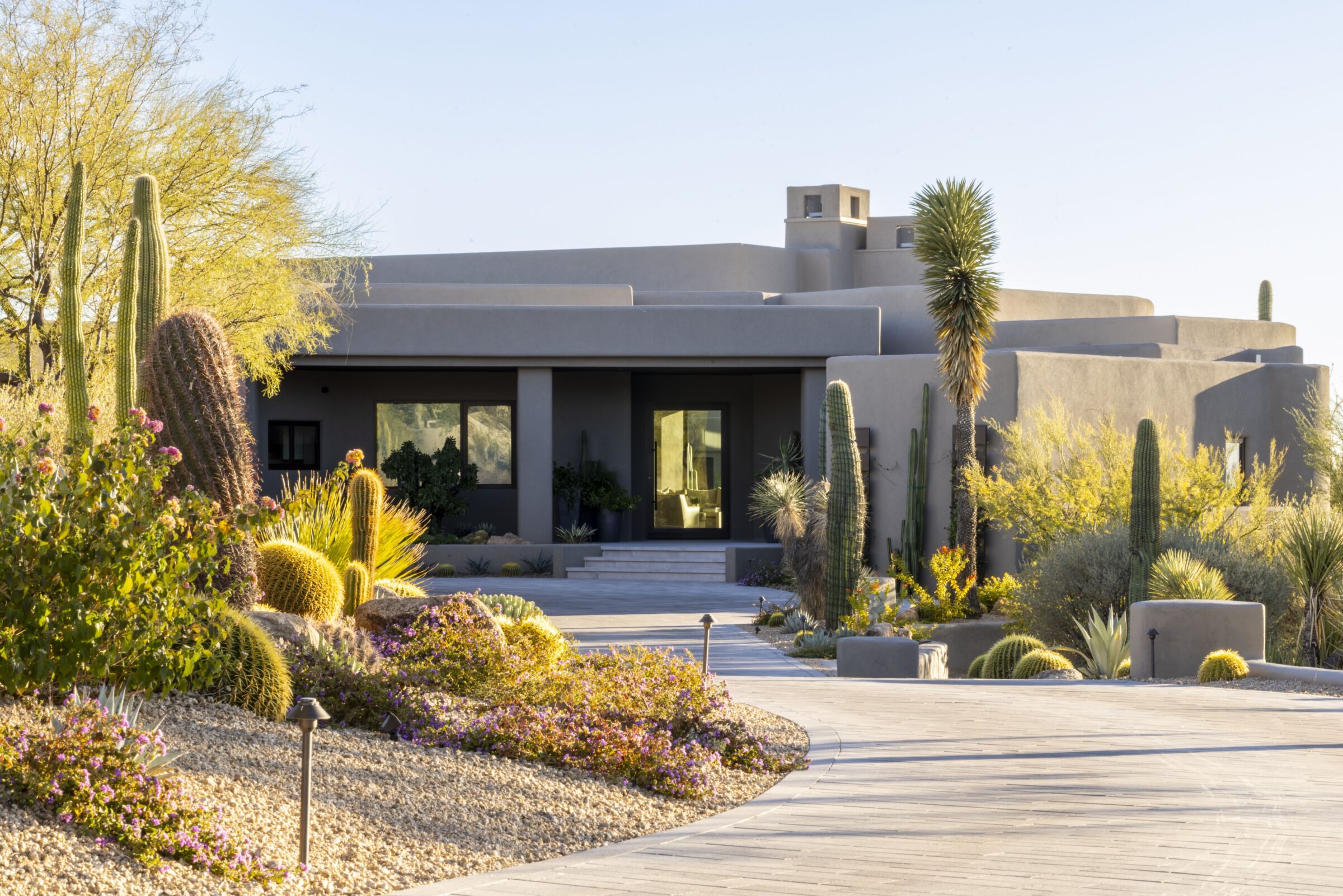 Modern house surrounded by desert landscaping, featuring cacti and arid plants. Curved pathway leads to entrance, with a clear blue sky above.