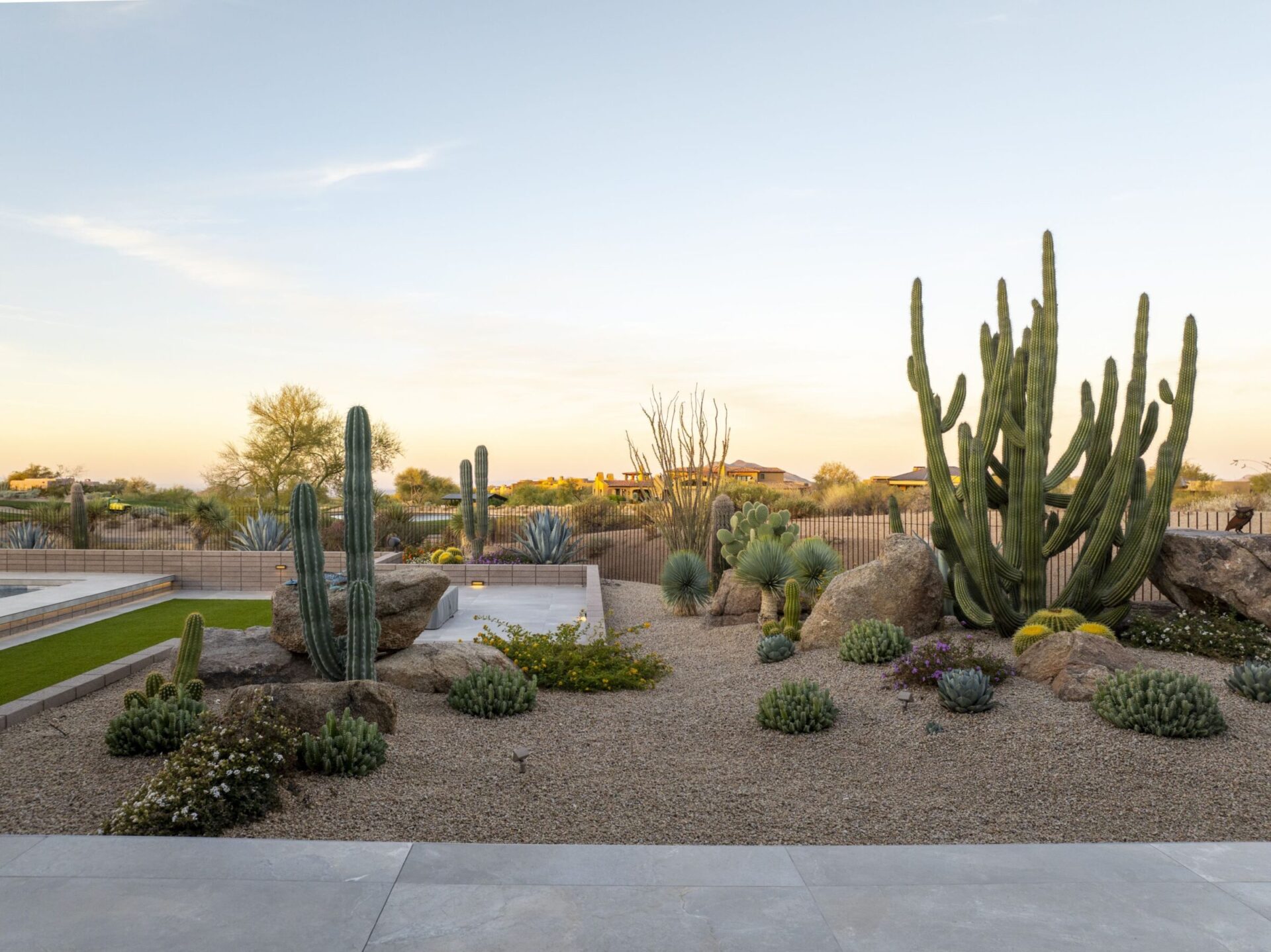 Desert landscape with various cacti and rocks, set against a clear sky. Background shows houses and distant vegetation, creating a serene atmosphere.