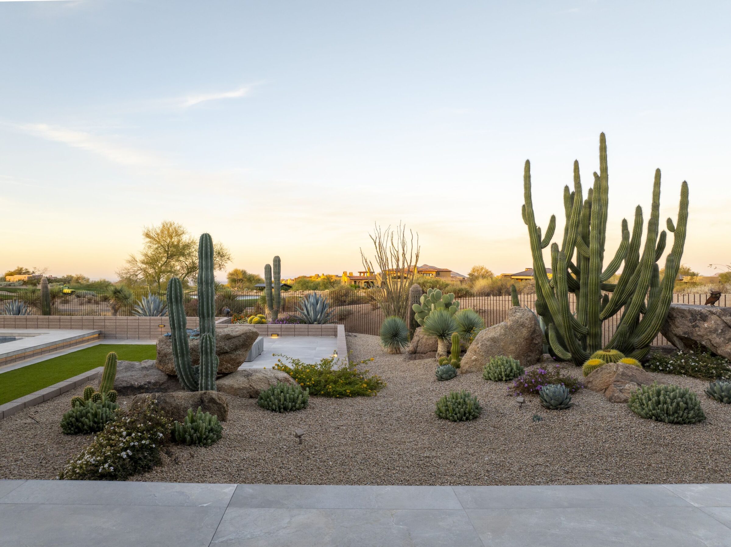 Luxury residential landscaping featuring a beautiful desert landscape.