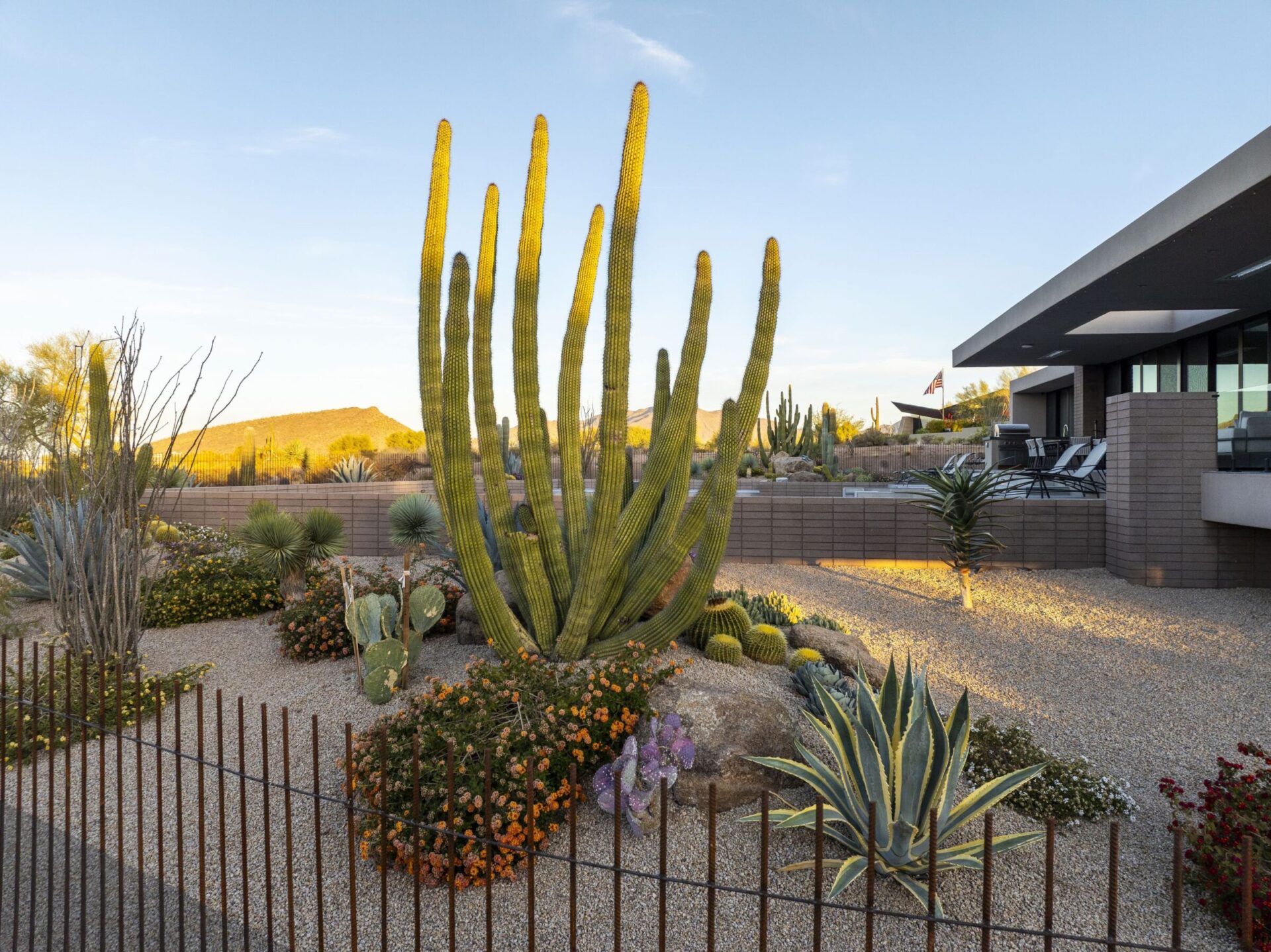 Modern house with large windows surrounded by a desert garden featuring various cacti under a clear blue sky, with mountains in the background.