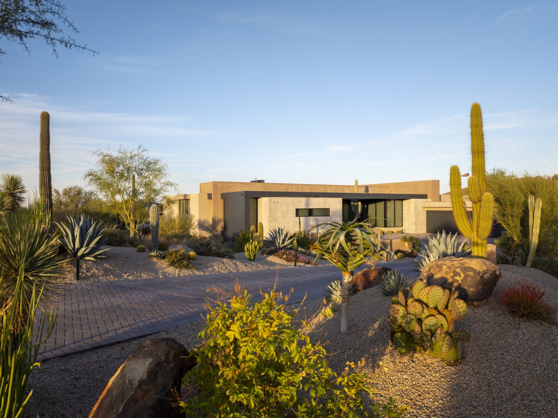 Modern desert home surrounded by various cacti and desert plants under a clear blue sky, featuring a stone walkway and minimalist architecture.