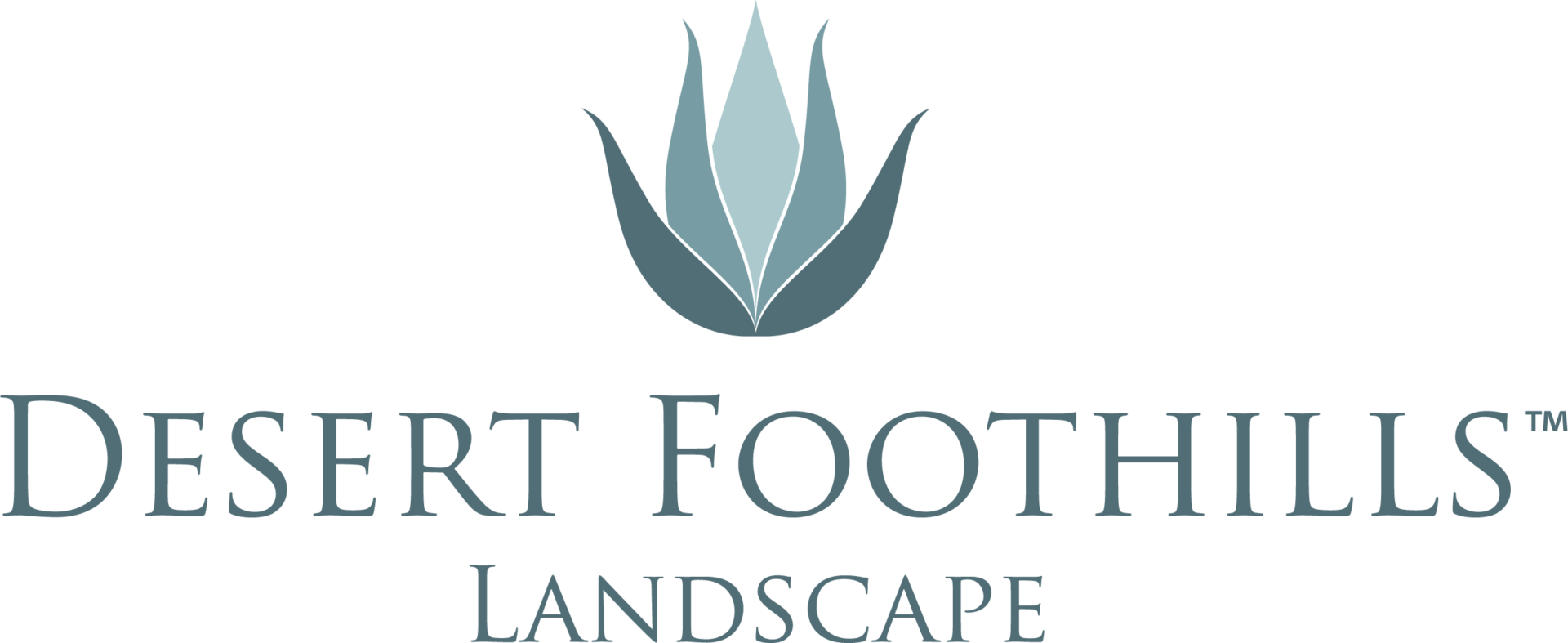 Logo featuring a stylized blue agave plant above the text "Desert Foothills Landscape," conveying a desert-themed landscaping brand identity.