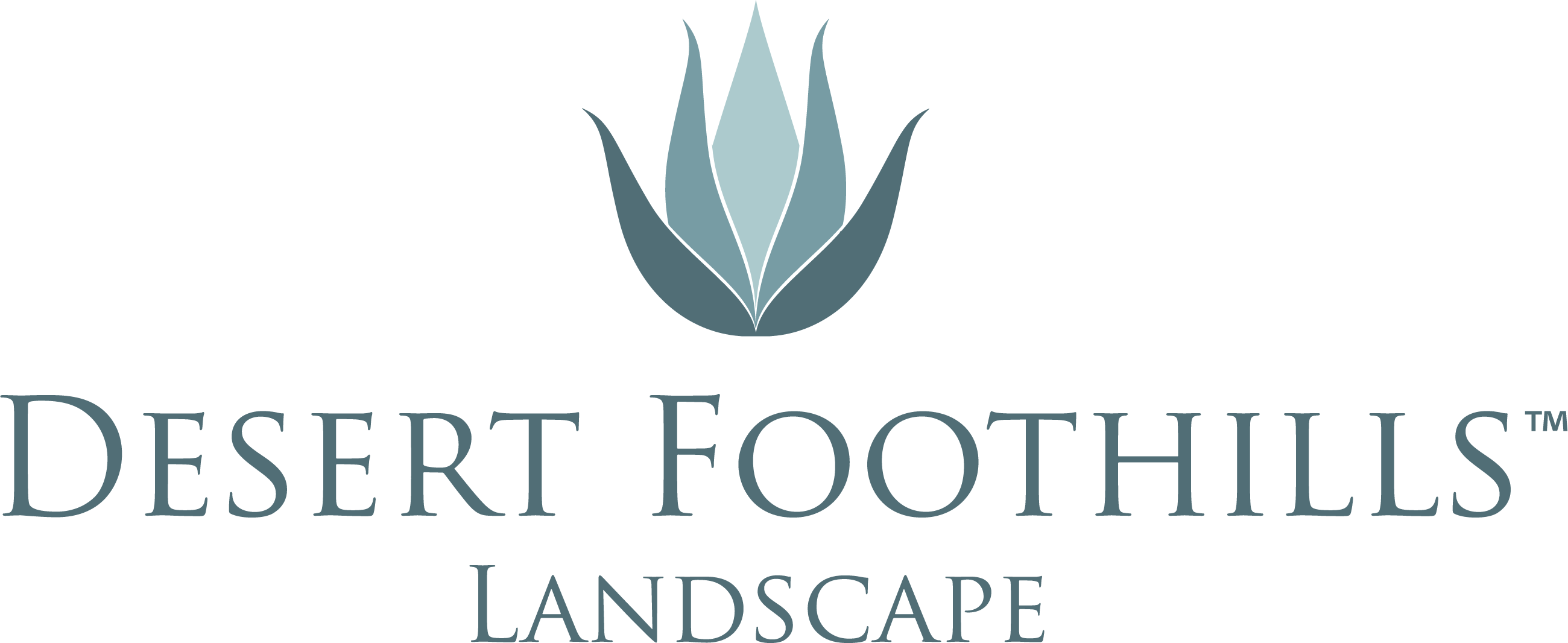 Logo featuring a stylized blue agave plant above the text "Desert Foothills Landscape," conveying a desert-themed landscaping brand identity.