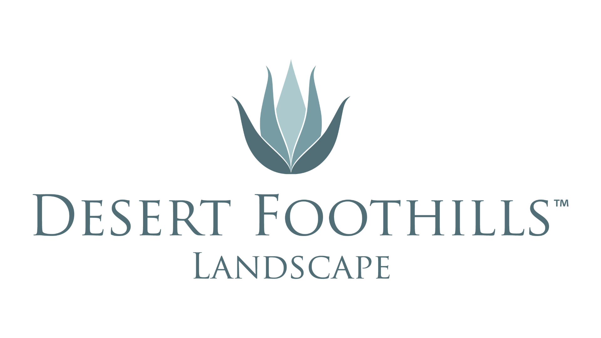 Logo of Desert Foothills Landscape featuring a stylized agave plant, with elegant teal text and design, conveying a desert theme.