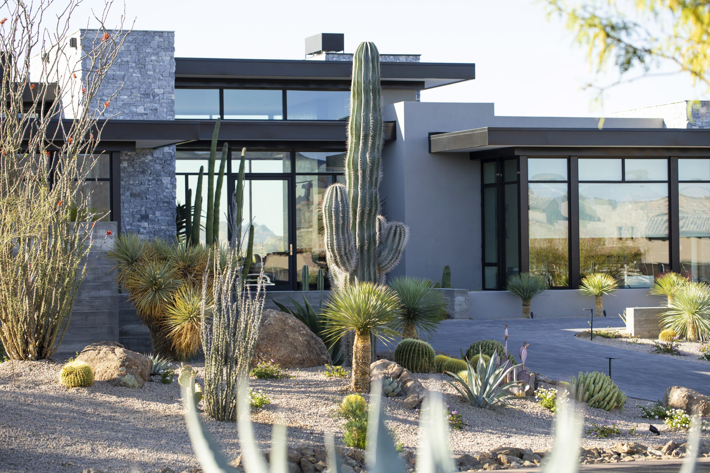 Modern house with large windows surrounded by desert landscaping, including tall cacti and various plants, under a bright, clear sky.