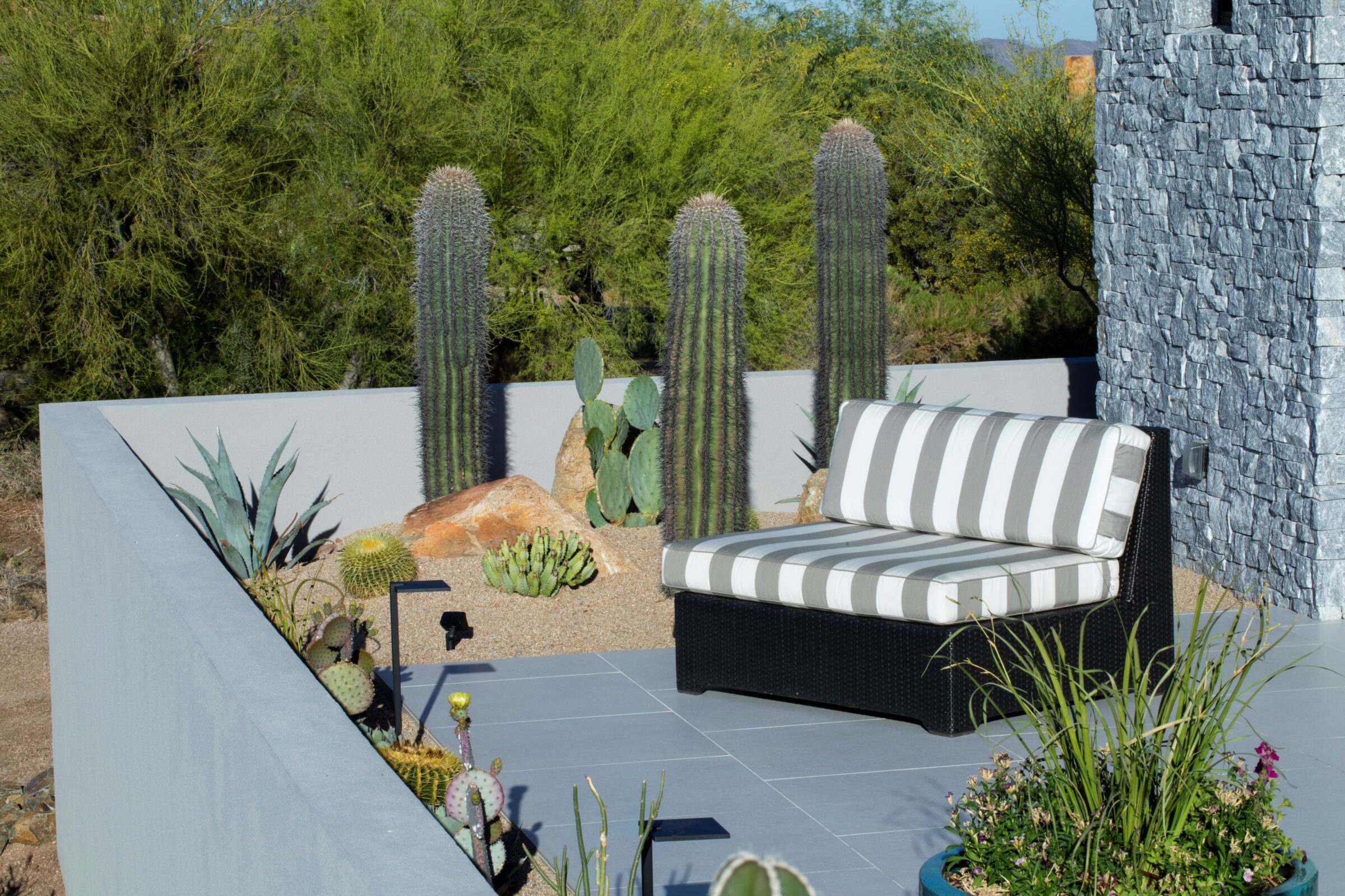A sunlit patio features a cushioned chair, surrounded by large cacti and plants, against a backdrop of a stone structure and greenery.