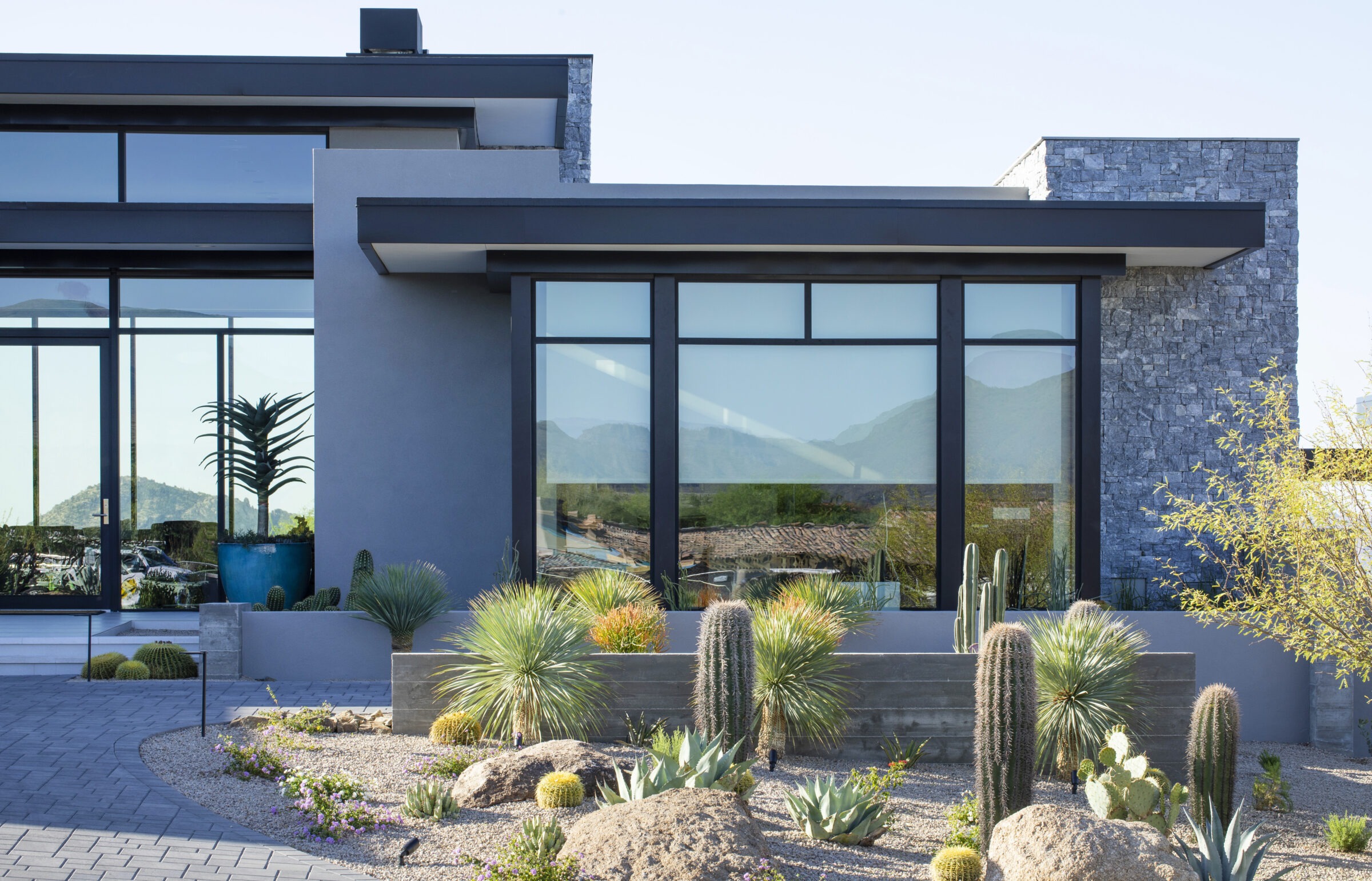 Modern house with large windows features a desert garden with various cacti and succulents, set against a backdrop of distant mountains.