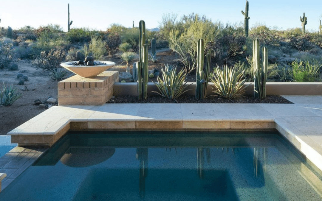 A serene desert landscape with cacti lined beside a clear pool, framed by a sky and earthy tones.