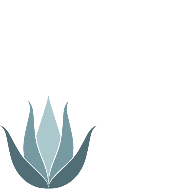 A minimalist logo featuring a stylized agave plant with gradient shades of blue and teal on a white background.