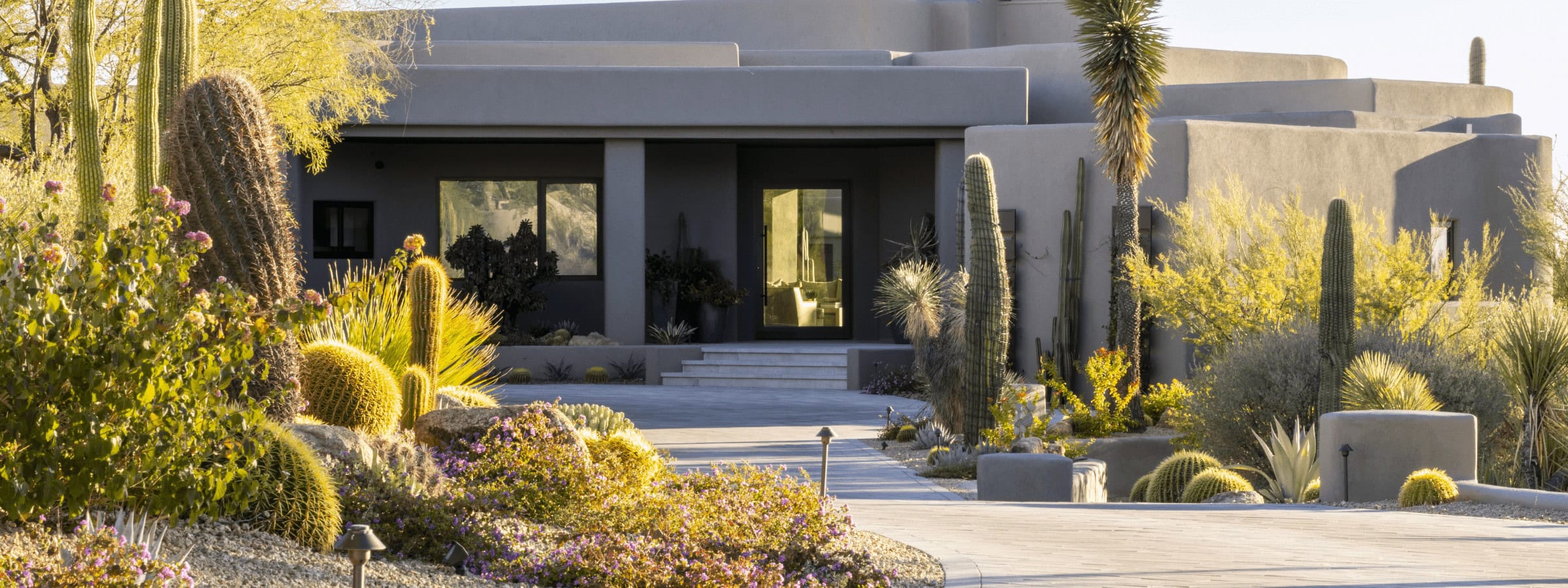 A modern desert house is surrounded by various cacti and shrubs, with a curving stone pathway leading to the entrance.