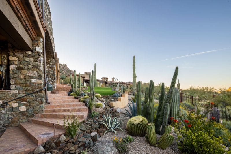 Stone building with tiled stairs and desert landscape featuring various cacti and plants under a clear blue sky, capturing a serene outdoor setting.