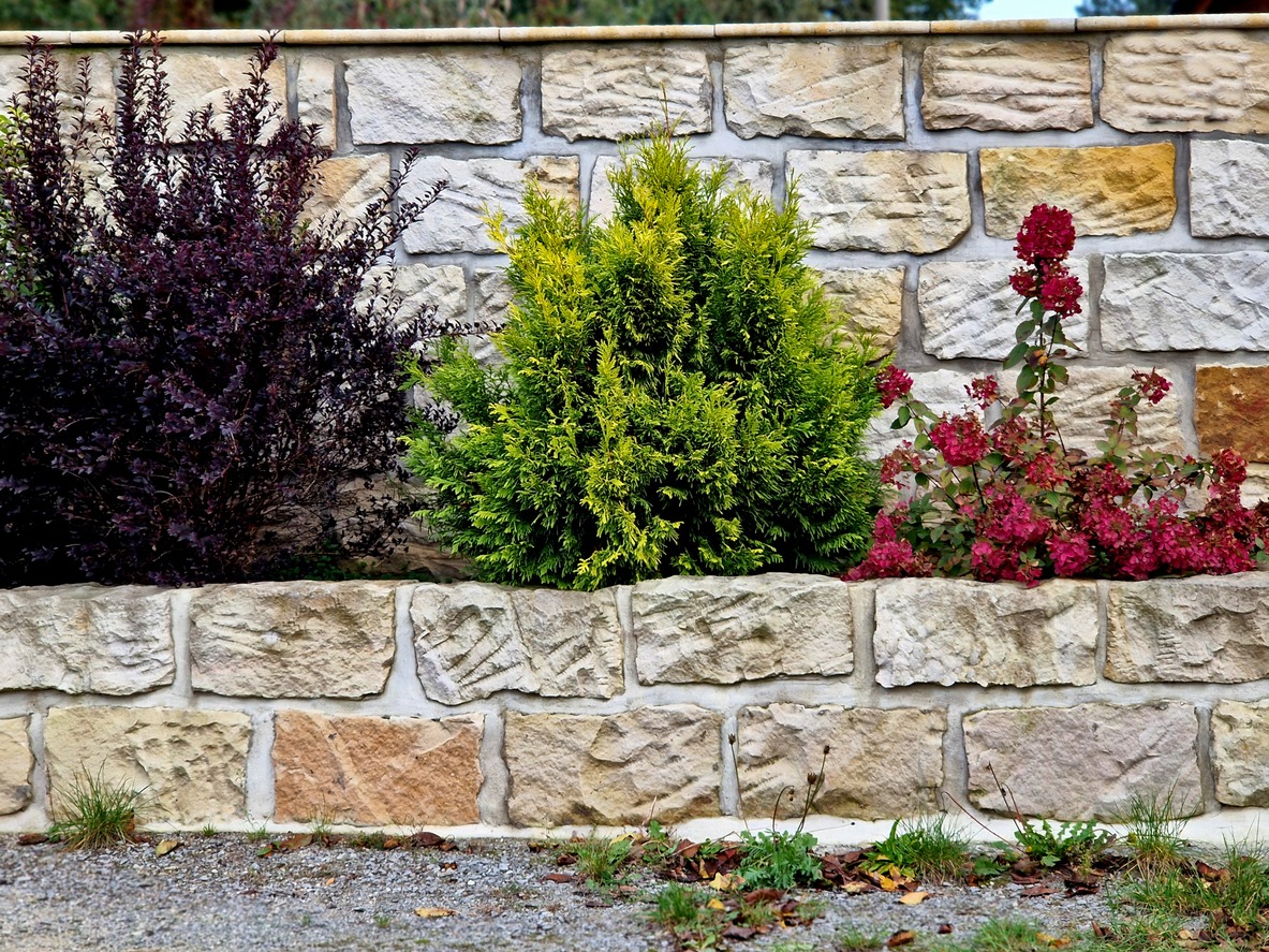 A stone wall with red and green shrubs and small plants in front, creating a colorful garden scene.